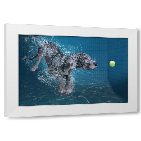 Splashdog White Modern Wood Framed Art Print by Egger, Marcel