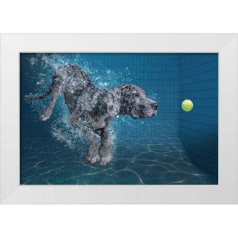 Splashdog White Modern Wood Framed Art Print by Egger, Marcel