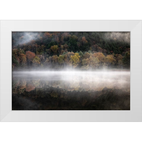 The mystical pond in the autumn White Modern Wood Framed Art Print by Suzuki, Daiki