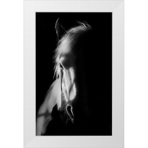Catching Light White Modern Wood Framed Art Print by Wilson, Francis
