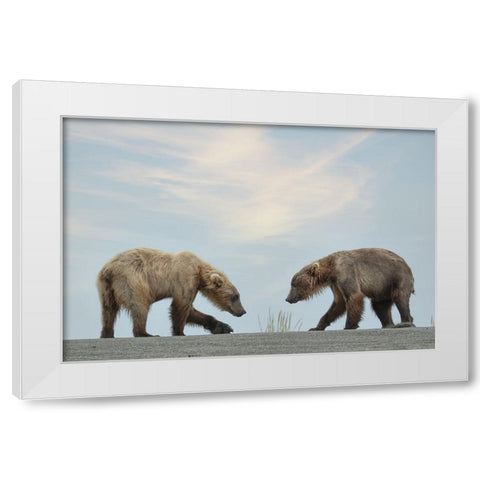 On Their Own White Modern Wood Framed Art Print by D Lester, Linda