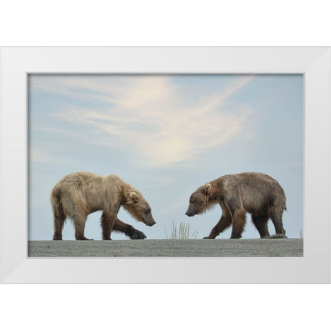 On Their Own White Modern Wood Framed Art Print by D Lester, Linda