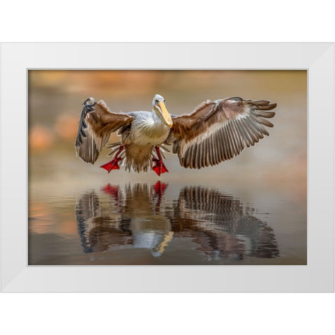 Touching the water White Modern Wood Framed Art Print by Zvelebil PhD, Marketa