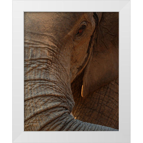 the eye White Modern Wood Framed Art Print by Baekelandt, Luc