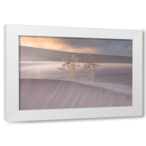 Untitled White Modern Wood Framed Art Print by Ali Amir, Abbas