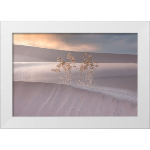 Untitled White Modern Wood Framed Art Print by Ali Amir, Abbas