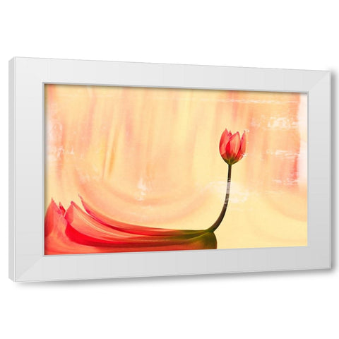 dancer White Modern Wood Framed Art Print by Ignatova, Desislava