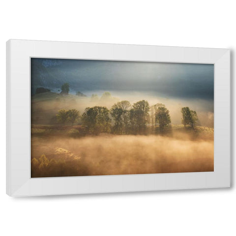 Sunrise veil White Modern Wood Framed Art Print by Ionut Coman, Alexandru