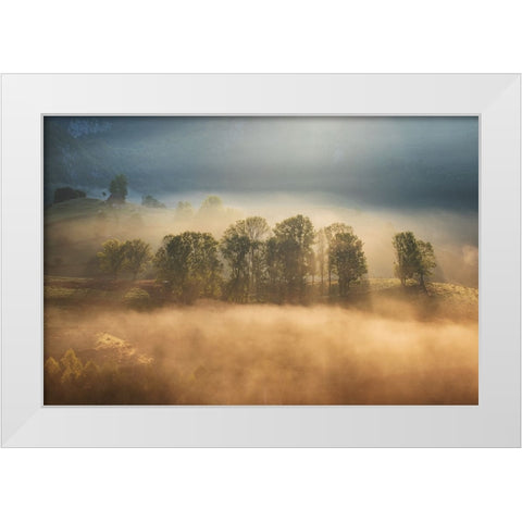 Sunrise veil White Modern Wood Framed Art Print by Ionut Coman, Alexandru