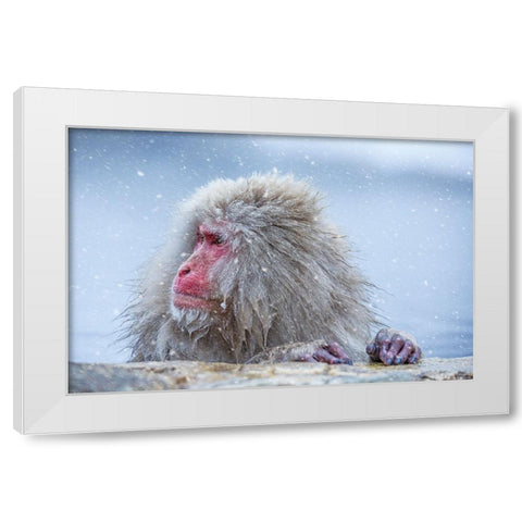 A Regular Day White Modern Wood Framed Art Print by Aktas, Ozan