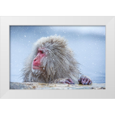 A Regular Day White Modern Wood Framed Art Print by Aktas, Ozan