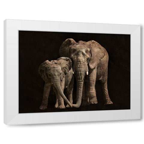 Contact White Modern Wood Framed Art Print by I. Cuadrado, Juan