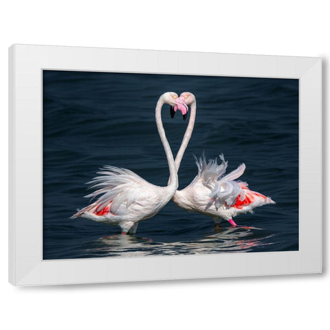 Flamingo White Modern Wood Framed Art Print by Elkahlawi, Ahmed