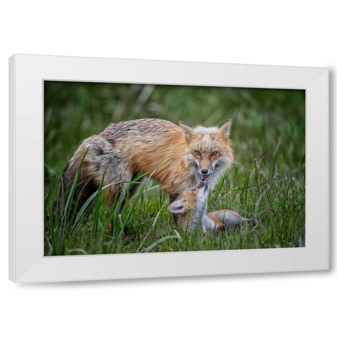 Love White Modern Wood Framed Art Print by Cheng, Jie