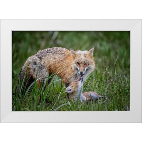 Love White Modern Wood Framed Art Print by Cheng, Jie