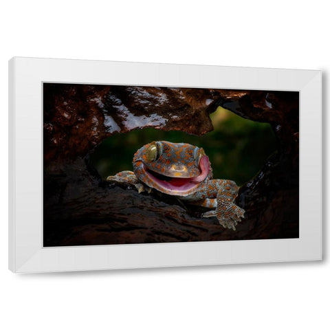 Smiley White Modern Wood Framed Art Print by Suharini, Mieke