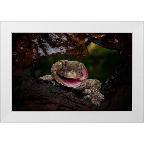 Smiley White Modern Wood Framed Art Print by Suharini, Mieke