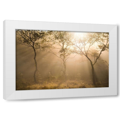 Three trees White Modern Wood Framed Art Print by Sugita, Masaki