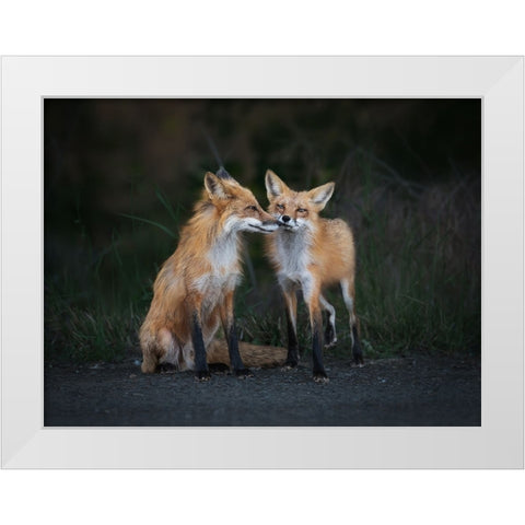 Only You In My Eyes White Modern Wood Framed Art Print by Zhang, Ling