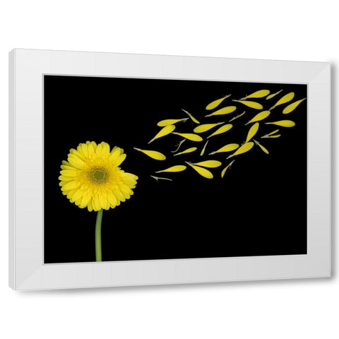 Blowing In The Wind White Modern Wood Framed Art Print by Wolbers, Louise