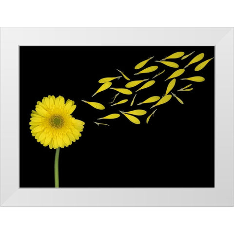 Blowing In The Wind White Modern Wood Framed Art Print by Wolbers, Louise