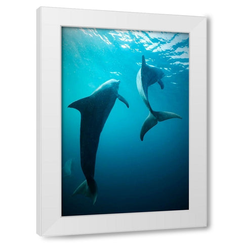 Shapes Of Water White Modern Wood Framed Art Print by Melesan, Serge