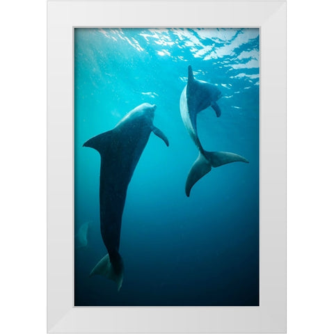 Shapes Of Water White Modern Wood Framed Art Print by Melesan, Serge