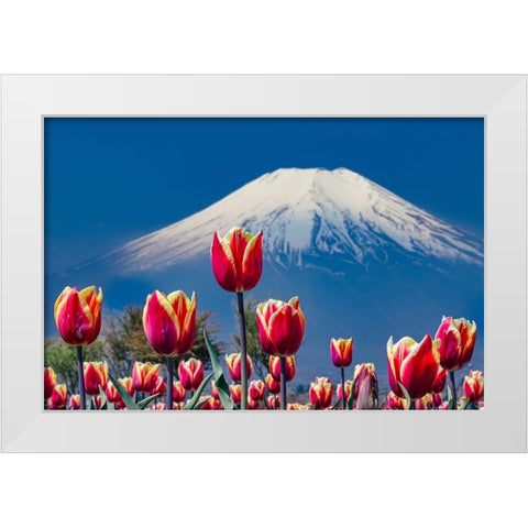 Tulips and Mt. Fuji White Modern Wood Framed Art Print by Sirou.Minami