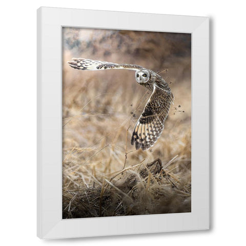 fly into the sky White Modern Wood Framed Art Print by Matsubara, Hiroki