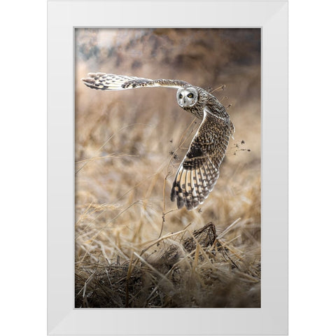 fly into the sky White Modern Wood Framed Art Print by Matsubara, Hiroki