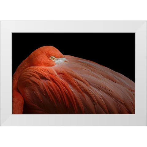 Untitled White Modern Wood Framed Art Print by Pandya, Hardik