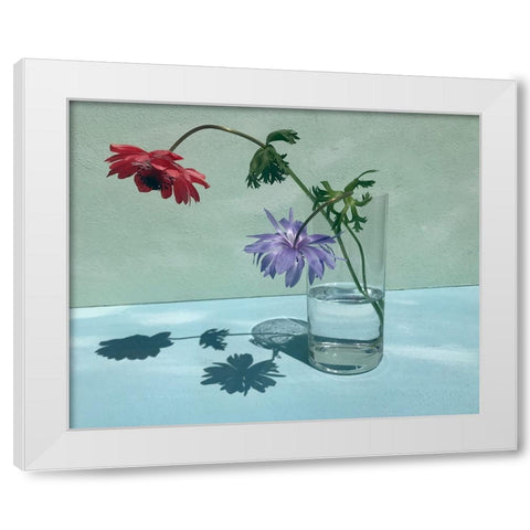 Light a Shadow White Modern Wood Framed Art Print by Basso, Donatella