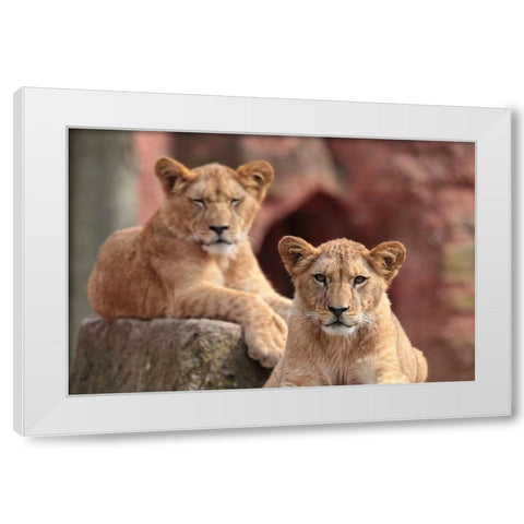 SISTERS White Modern Wood Framed Art Print by Wenner-Braun, Antje