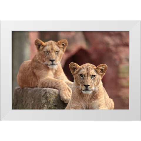 SISTERS White Modern Wood Framed Art Print by Wenner-Braun, Antje