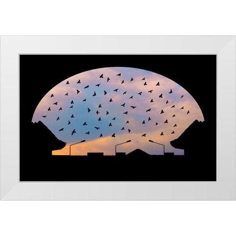 Homeward Bound White Modern Wood Framed Art Print by Nayyer Reza, Sayyed