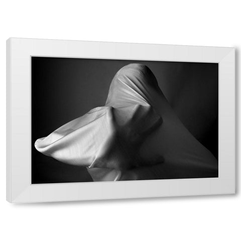 Fanatic White Modern Wood Framed Art Print by Arabzadeh, Abbas