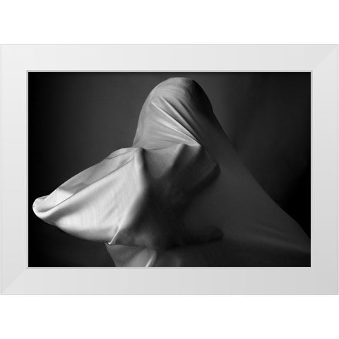 Fanatic White Modern Wood Framed Art Print by Arabzadeh, Abbas