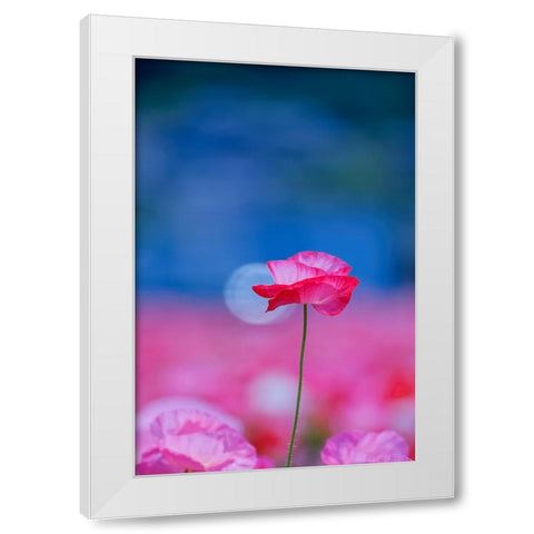 Untitled White Modern Wood Framed Art Print by Nakada, Chisho