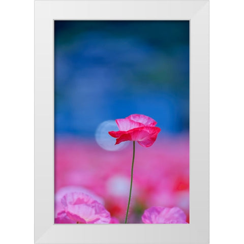 Untitled White Modern Wood Framed Art Print by Nakada, Chisho