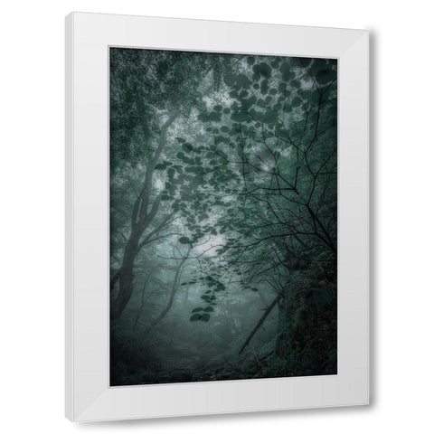 Fogaforest White Modern Wood Framed Art Print by Yamashita, Takafumi