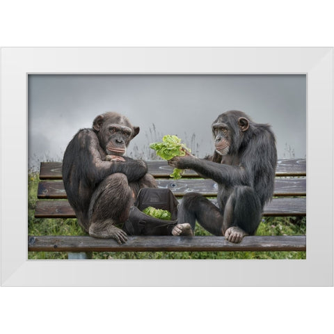 Monkey Salad White Modern Wood Framed Art Print by Egger, Marcel