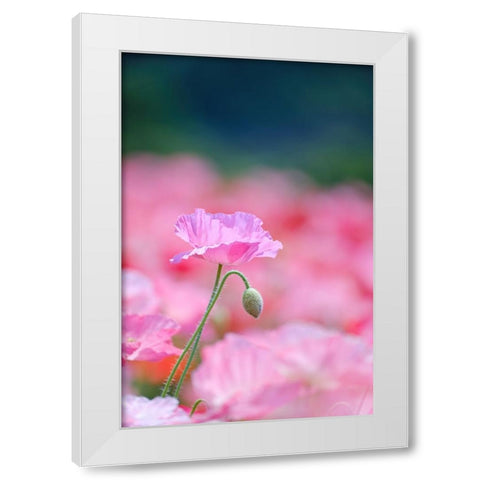 Untitled White Modern Wood Framed Art Print by Nakada, Chisho