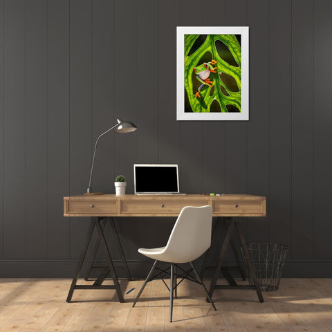 Good Morning White Modern Wood Framed Art Print by Muliani Hartojo, Angela
