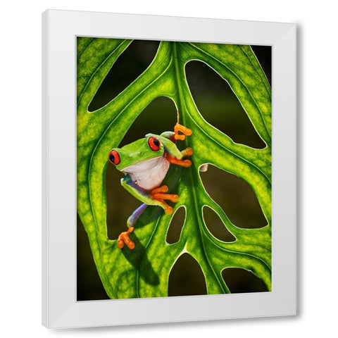 Good Morning White Modern Wood Framed Art Print by Muliani Hartojo, Angela