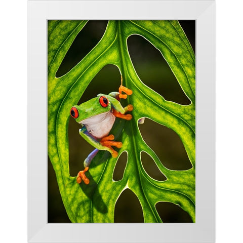 Good Morning White Modern Wood Framed Art Print by Muliani Hartojo, Angela