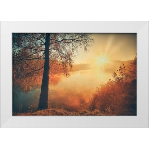 Gold of the fall White Modern Wood Framed Art Print by Kado, Pawel