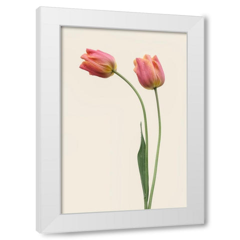 Duo White Modern Wood Framed Art Print by Gronkjar, Lotte