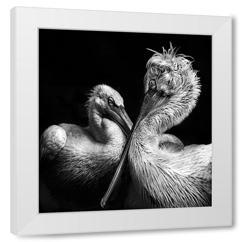 Crisscross White Modern Wood Framed Art Print by Singh, Anita