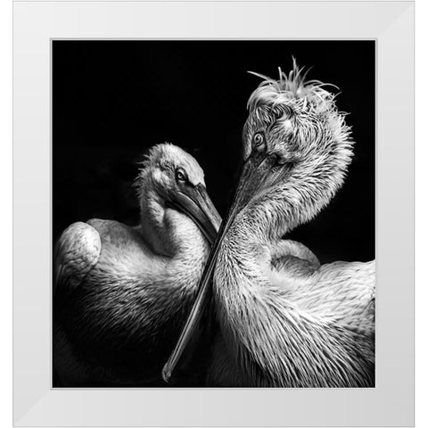 Crisscross White Modern Wood Framed Art Print by Singh, Anita