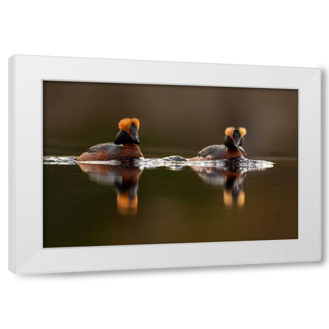 Breakfast White Modern Wood Framed Art Print by The Jar